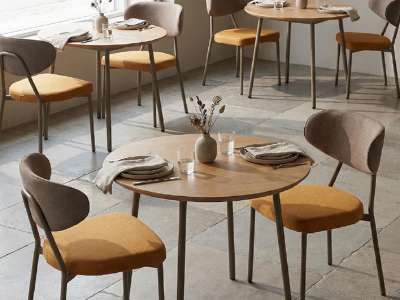 Shell Chair